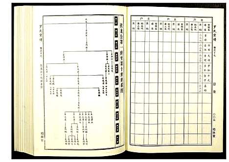 [罗]罗氏宗谱 (湖北) 罗氏家谱_八.pdf