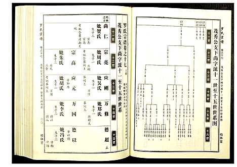 [罗]罗氏宗谱 (湖北) 罗氏家谱_八.pdf