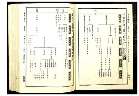 [罗]罗氏宗谱 (湖北) 罗氏家谱_九.pdf