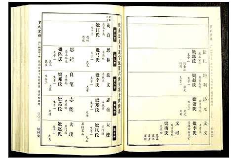 [罗]罗氏宗谱 (湖北) 罗氏家谱_十一.pdf