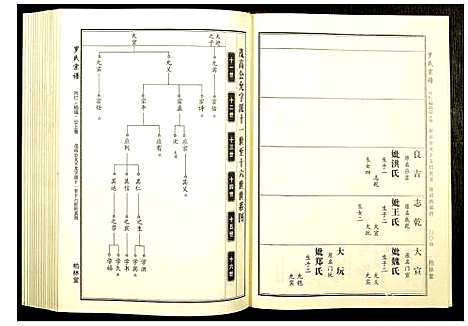 [罗]罗氏宗谱 (湖北) 罗氏家谱_十一.pdf