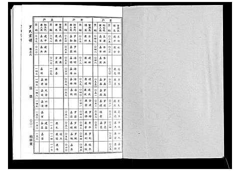 [罗]罗氏宗谱 (湖北) 罗氏家谱_三.pdf