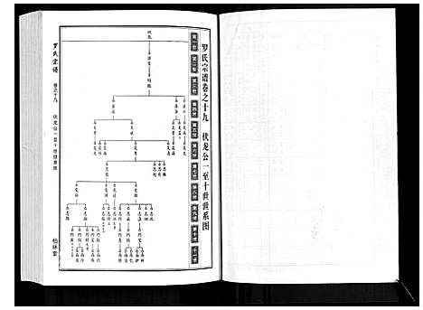 [罗]罗氏宗谱 (湖北) 罗氏家谱_九.pdf