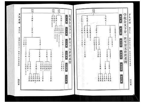 [罗]罗氏宗谱 (湖北) 罗氏家谱_九.pdf