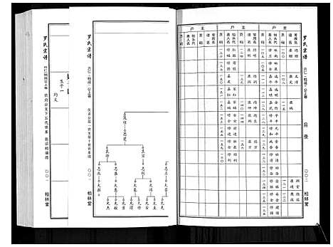 [罗]罗氏宗谱 (湖北) 罗氏家谱_十一.pdf