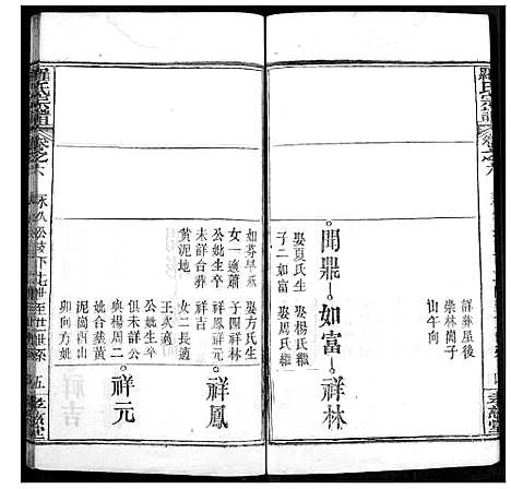 [罗]罗氏宗谱 (湖北) 罗氏家谱_九.pdf