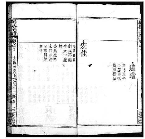 [罗]罗氏宗谱 (湖北) 罗氏家谱_十.pdf