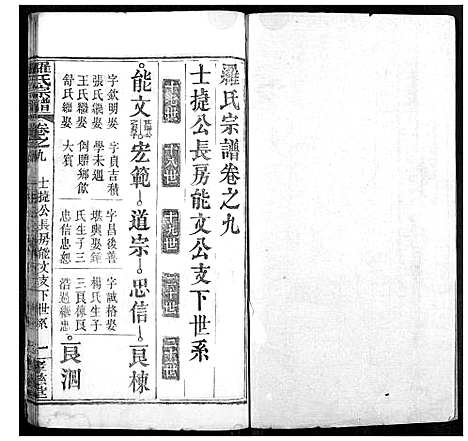 [罗]罗氏宗谱 (湖北) 罗氏家谱_十二.pdf