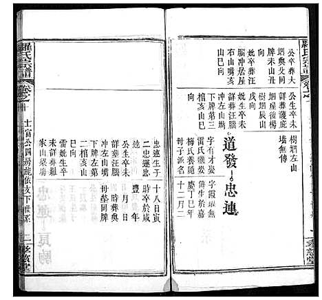 [罗]罗氏宗谱 (湖北) 罗氏家谱_十三.pdf