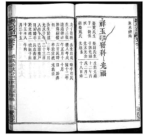 [罗]罗氏宗谱 (湖北) 罗氏家谱_十五.pdf