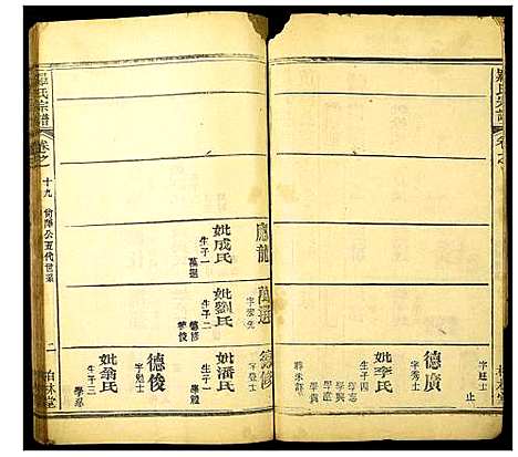 [罗]罗氏宗谱 (湖北) 罗氏家谱_二十五.pdf