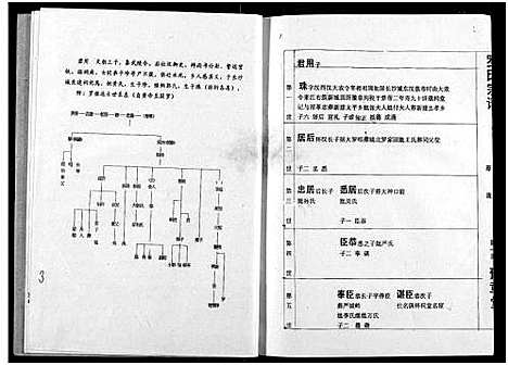 [罗]罗氏宗谱 (湖北) 罗氏家谱_二.pdf