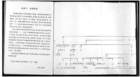 [罗]罗氏宗谱 (湖北) 罗氏家谱_十.pdf