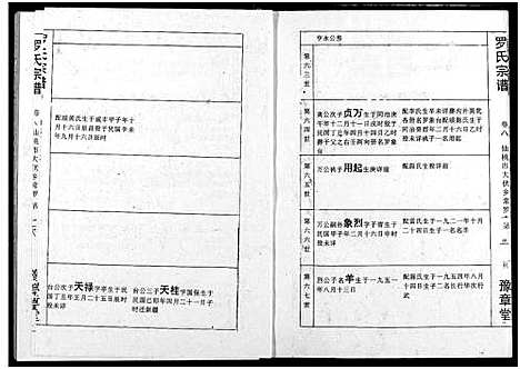 [罗]罗氏宗谱 (湖北) 罗氏家谱_十一.pdf