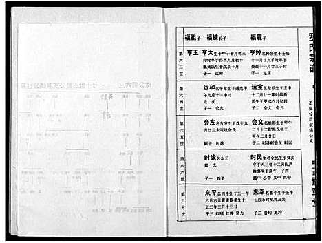 [罗]罗氏宗谱 (湖北) 罗氏家谱_十三.pdf