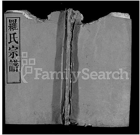 [罗]罗氏宗谱_16卷首2卷-Luo Shi_罗氏宗谱_Luo Family Genealogy from Hubei Province China (湖北) 罗氏家谱_二.pdf