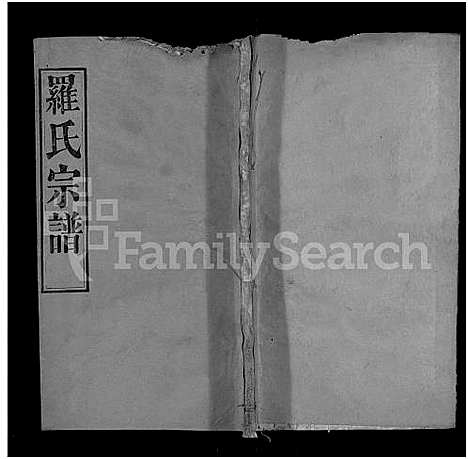 [罗]罗氏宗谱_16卷首2卷-Luo Shi_罗氏宗谱_Luo Family Genealogy from Hubei Province China (湖北) 罗氏家谱_十一.pdf