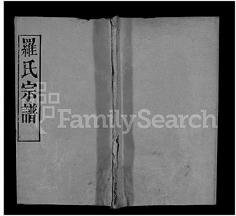 [罗]罗氏宗谱_16卷首2卷-Luo Shi_罗氏宗谱_Luo Family Genealogy from Hubei Province China (湖北) 罗氏家谱_十二.pdf