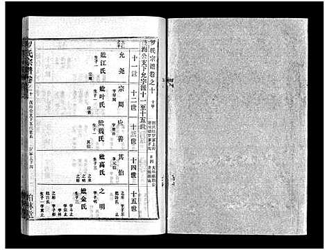 [罗]罗氏宗谱_36卷首4卷-Luo Shi_罗氏宗谱 (湖北) 罗氏家谱_十四.pdf