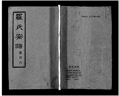 [罗]罗氏宗谱_36卷首4卷-Luo Shi_罗氏宗谱 (湖北) 罗氏家谱_四十.pdf