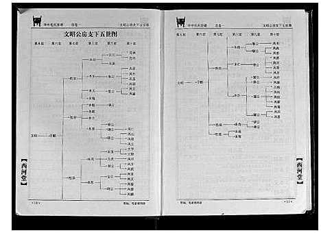 [毛]华中毛氏宗谱 (湖北) 华中毛氏家谱_一.pdf