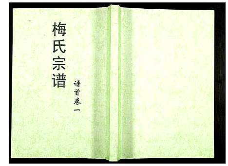 [梅]梅氏大成宗谱 (湖北) 梅氏大成家谱_二.pdf