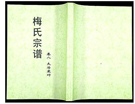 [梅]梅氏大成宗谱 (湖北) 梅氏大成家谱_十.pdf