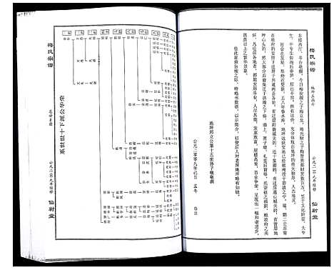 [梅]梅氏大成宗谱 (湖北) 梅氏大成家谱_十二.pdf