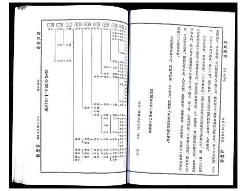 [梅]梅氏大成宗谱 (湖北) 梅氏大成家谱_十三.pdf