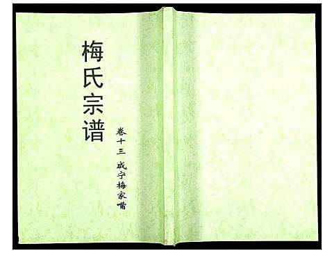 [梅]梅氏大成宗谱 (湖北) 梅氏大成家谱_十五.pdf