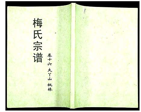 [梅]梅氏大成宗谱 (湖北) 梅氏大成家谱_十八.pdf