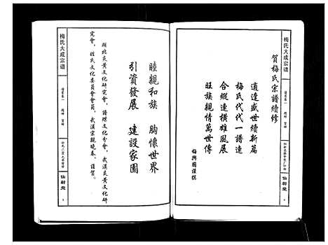 [梅]梅氏大成宗谱_16卷首2卷 (湖北) 梅氏大成家谱_一.pdf