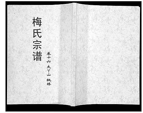 [梅]梅氏大成宗谱_16卷首2卷 (湖北) 梅氏大成家谱_十八.pdf