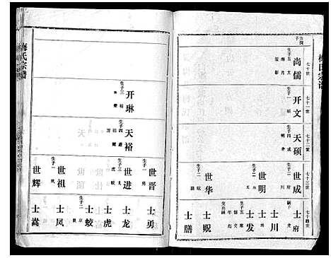 [梅]梅氏宗谱 (湖北) 梅氏家谱_七.pdf