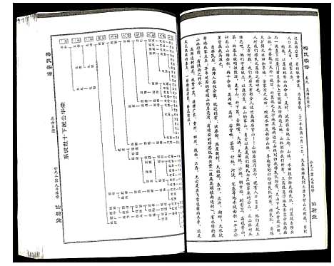 [梅]梅氏宗谱 (湖北) 梅氏家谱_九.pdf