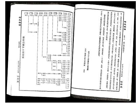 [梅]梅氏宗谱 (湖北) 梅氏家谱_十三.pdf