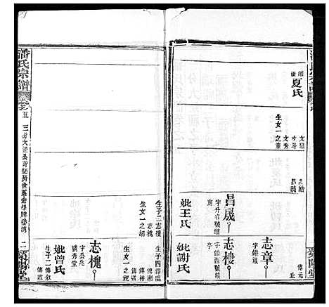 [潘]潘氏宗谱 (湖北) 潘氏家谱_十三.pdf