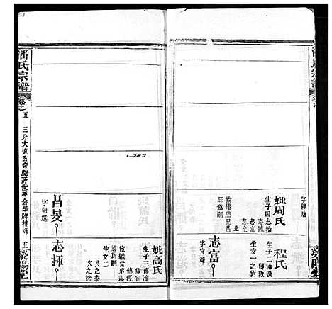 [潘]潘氏宗谱 (湖北) 潘氏家谱_十三.pdf