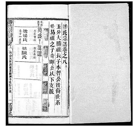 [潘]潘氏宗谱 (湖北) 潘氏家谱_十六.pdf