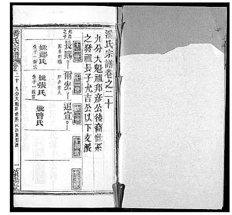 [潘]潘氏宗谱 (湖北) 潘氏家谱_二十八.pdf