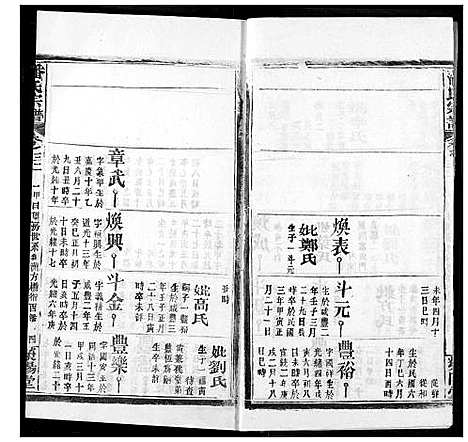 [潘]潘氏宗谱 (湖北) 潘氏家谱_四十.pdf