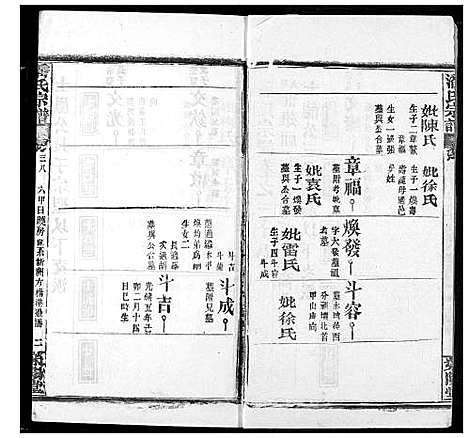 [潘]潘氏宗谱 (湖北) 潘氏家谱_四十七.pdf