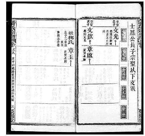 [潘]潘氏宗谱 (湖北) 潘氏家谱_四十七.pdf