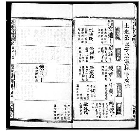 [潘]潘氏宗谱 (湖北) 潘氏家谱_四十七.pdf