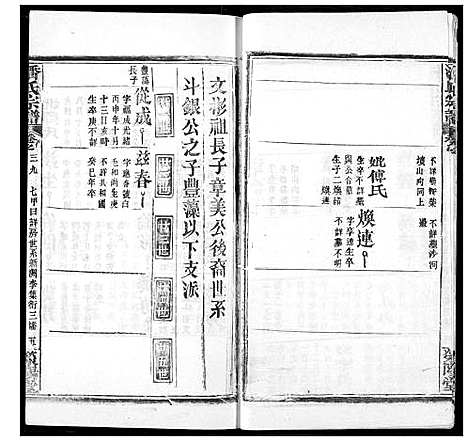 [潘]潘氏宗谱 (湖北) 潘氏家谱_四十八.pdf