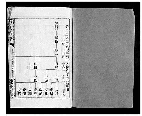 [彭]彭氏族谱 (湖北) 彭氏家谱_十四.pdf