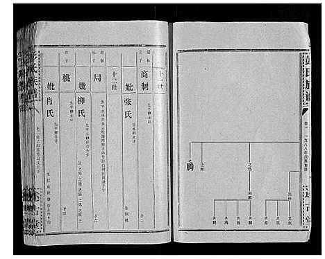 [彭]彭氏族谱 (湖北) 彭氏家谱_二十六.pdf