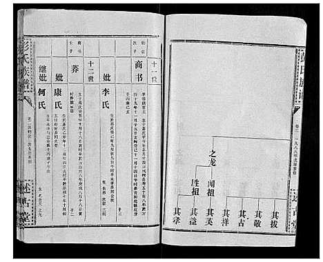 [彭]彭氏族谱 (湖北) 彭氏家谱_二十九.pdf