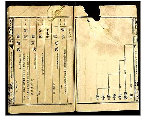 [彭]彭氏族谱 (湖北) 彭氏家谱_十二.pdf