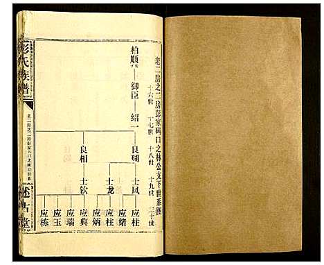 [彭]彭氏族谱 (湖北) 彭氏家谱_十三.pdf